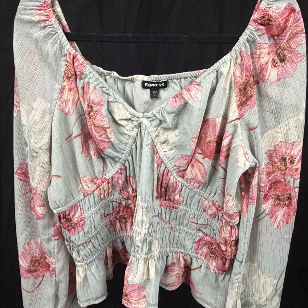 Express Floral Smocked Crop Top Blue Pink Puff Sleeve